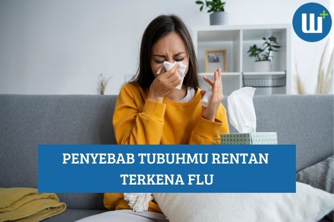 Inilah Penyebab Tubuhmu Rentan Terkena Flu